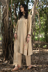 03 Piece Ready To Wear Embroidered with Fancy Shawl