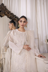 03 Piece Ready to wear Embroidered Raw Silk With Printed Polyester Chiffon Dupatta