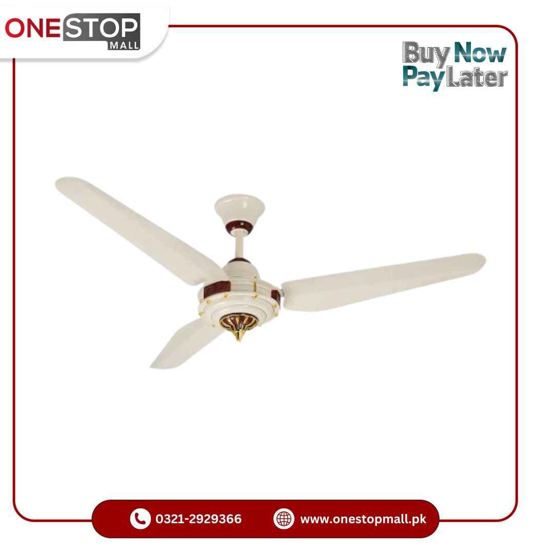 Starco Sapphire Inverter Input voltage 220V AC 12V DC Power 55 watts Winding Copper 100 1 Year Brand Warranty