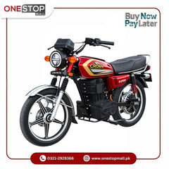 Crown X200 Electric Bike ( Only For Karachi Self Pickup ) ( Without Registration )