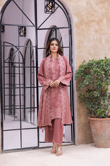 03 Piece Stitched Printed Embroidered Cashmi Wool