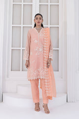 03 Piece Ready To Wear Embroidered Khaddi Net With Embroidered Fancy Net Dupatta
