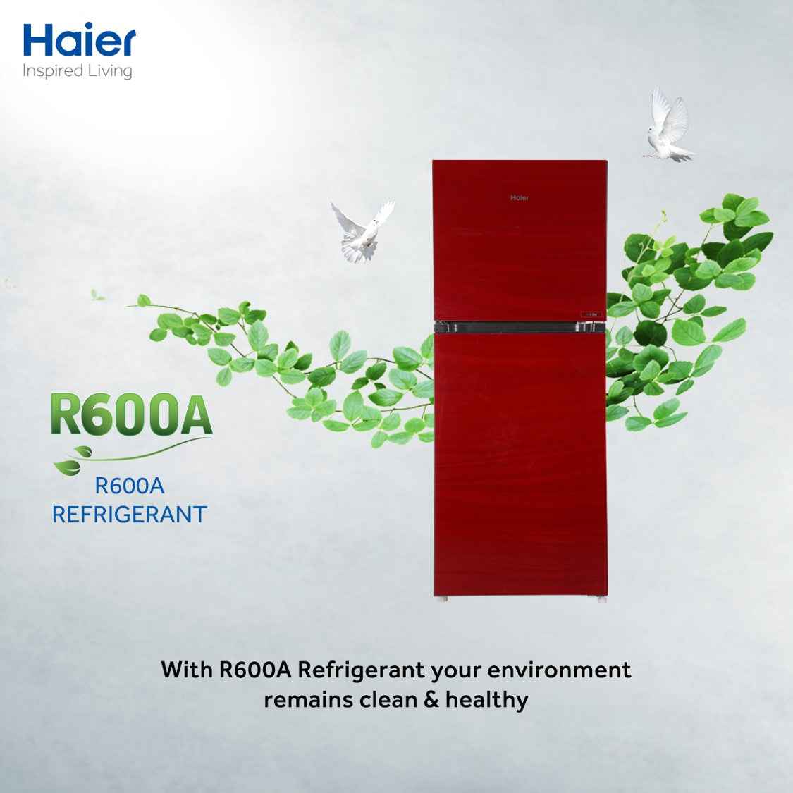 Haier HRF 306 EPR Refrigerator / Glass Door / 11 CFT / 276 LTR / Mediu